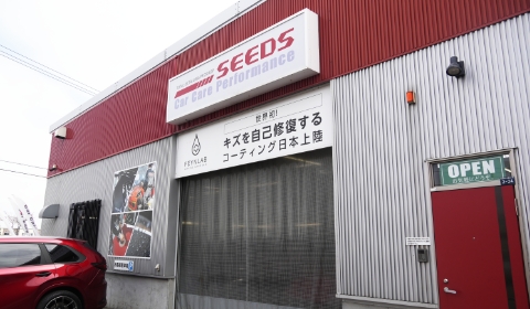 SEEDS